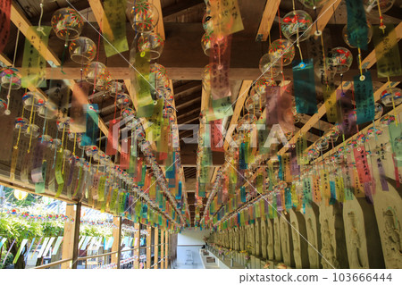 Dougakuji Temple, Ishii Town, Tokushima Prefecture 103666444
