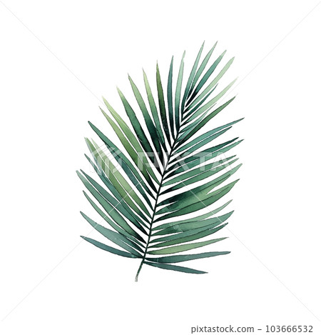 Modern exotic leave watercolor, great design for any purposes. Isolated vector element. Vector art illustration. Wedding floral decoration. 103666532