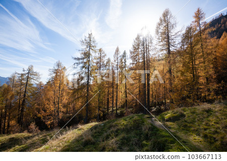 Dolomites range landscape. San Martino di Castrozza mountains view 103667113