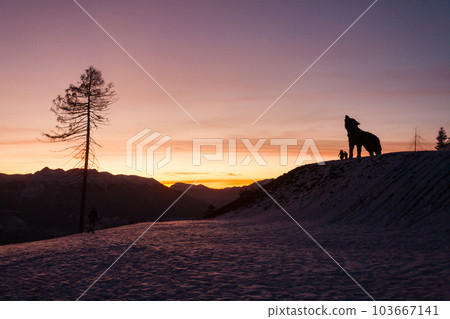 Wooden sculpture of a wolf. Italian landmark at dawn Wooden sculpture of a wolf. Italian landmark at dawn 103667141