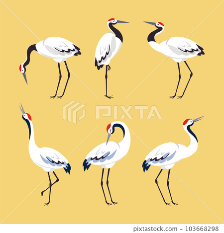 Red Crowned Crane as Long-legged and Long-necked Bird in Different Pose Vector Set Red Crowned Crane as Long-legged and Long-necked Bird in Different Pose Vector Set 103668298