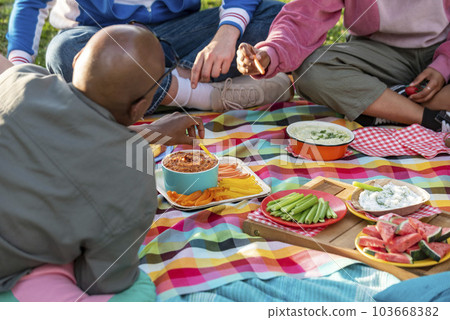 people having good time at a picnic people having good time at a picnic 103668382