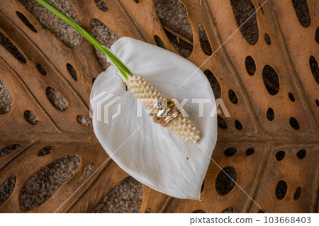 Wedding Rings Wedding Rings 103668403