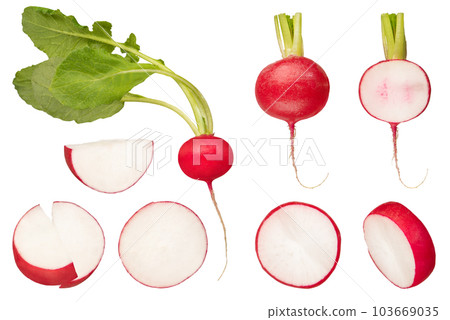 Set of different slices of radish on a white isolated background. Red radish with green tops on a white background. The concept of healthy food or tasty salad dressing. To be inserted into a design 103669035