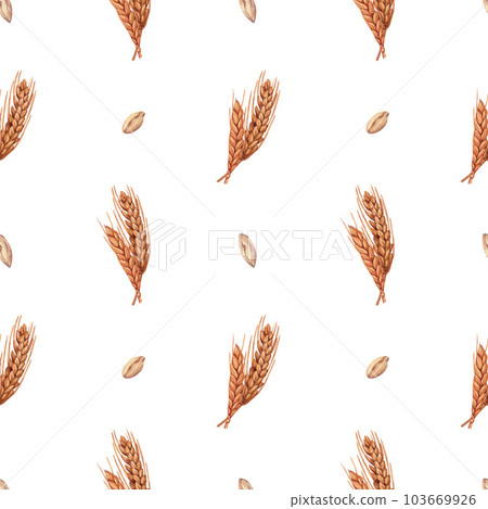 Watercolor seamless wheat spikelet pattern background with wheat spica, oats spikelet. Hand-drawn illustration isolated on white background. Perfect concept illustration for menu, bakery 103669926