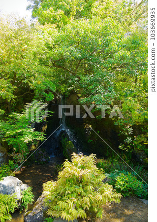 Kinkakuji Ryumon Waterfall and Carp Stone Kinkakuji Ryumon Waterfall and Carp Stone 103669935