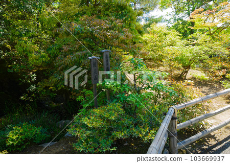 Kinkakuji Ryumon Waterfall and Carp Stone Kinkakuji Ryumon Waterfall and Carp Stone 103669937