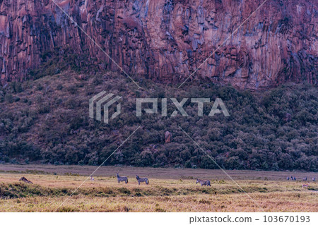 Kenya Landscapes Kenya Landscapes 103670193