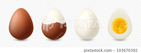 Vector 3d Realistic Brown Chicken Eggs. Textured Whole, Cracked Broken, Peeled Boiled Chicken Egg, Hard-Boiled Chicken Egg With Yolk Closeup Isolated. Eggs Isolated. Whole, Cut in Half Egg, Front View 103670392