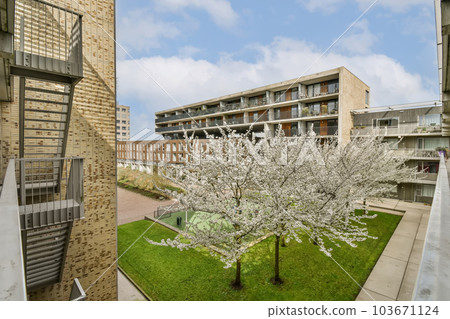 an apartment complex with flowering trees in the front yard and stairs leading up to balknotn's building 103671124