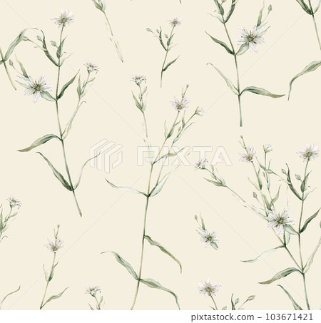 Watercolor seamless pattern with stellaria holostea. Rabelera holostea. Hand painted small white flower and leaves isolated on beige background. Illustration for design, fabric, print or background. Watercolor seamless pattern with stellaria holostea. Rabelera holostea. Hand painted small white flower and leaves isolated on beige background. Illustration for design, fabric, print or background. 103671421