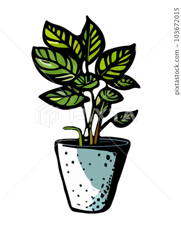 Cartoon flat different indoor potted decorative houseplants for interior home 103672015