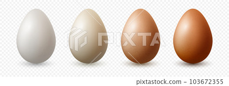 6 Six Vector 3d Realistic White, Brown Chicken Eggs in Opened Carton Paper Box, Container, Packaging. Textured Chicken Egg Set, Isolated. Vector Different Color Whole Eggs. Egg Pack in Front View 6 Six Vector 3d Realistic White, Brown Chicken Eggs in Opened Carton Paper Box, Container, Packaging. Textured Chicken Egg Set, Isolated. Vector Different Color Whole Eggs. Egg Pack in Front View 103672355