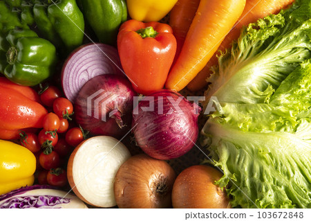 田裡收穫了很多新鮮美味的蔬菜 田裡收穫了很多新鮮美味的蔬菜 103672848