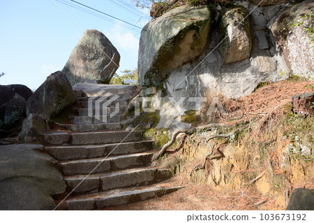 Komichi的文學 103673192