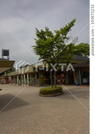 Akagi Kogen Service Area Akagi Kogen Service Area 103673232