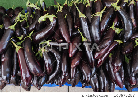Bright purple eggplant in the central market Bright purple eggplant in the central market 103673298