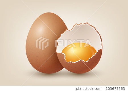 Vector 3d Realistic Brown Chicken Eggs. Textured Broken Chicken Egg, Two Parts, Opened Crack Raw Chicken Egg With Yolk Closeup Isolated. Vector Eggs Isolated. Whole, Half Egg in Front View 103673363