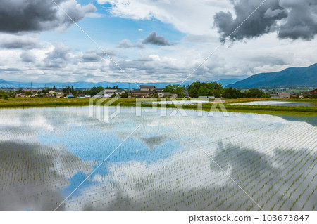 Paddy field and cloudy sky after rice planting [Azumino City] 103673847