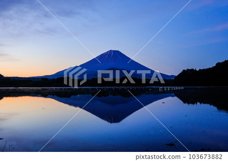 黎明前的精進湖和富士山 103673882