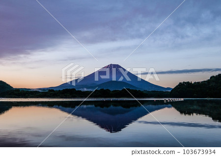 黎明前的精進湖和富士山 103673934