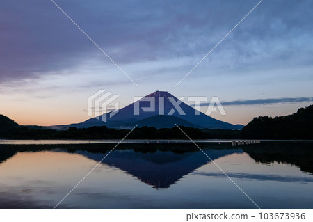 黎明前的精進湖和富士山 103673936