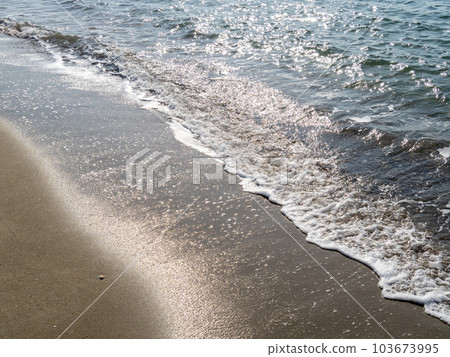 The beach that reflects the sunlight and sparkles. 103673995