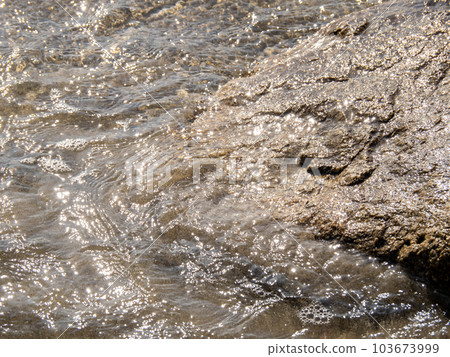 The beach that reflects the sunlight and sparkles. 103673999