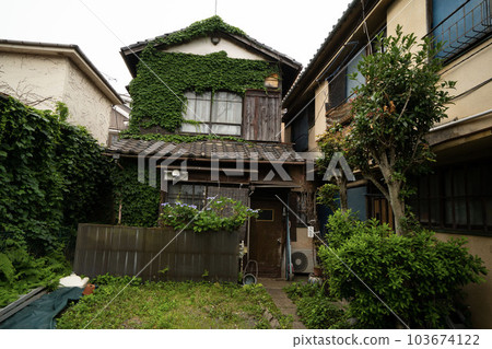 Japanese old house / two-story house with garden / old house with ivy / dense Showa architecture / with apartment / detached house / Japanese old house / two-story house with garden / old house with ivy / dense Showa architecture / with apartment / detached house / 103674122
