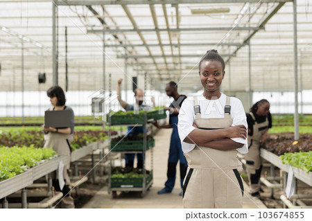 Happy smiling entrepreneur farm manager leading group of farm workers cultivating locally non-GMO free leafy greens crops. Sustainable eco friendly agriculture in certified organic greenhouse 103674855