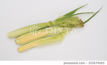 年輕的玉米 103674893