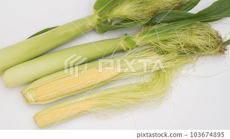 年輕的玉米 103674895