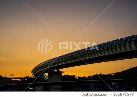 Sunset of Ushibuka Haiya Ohashi [Amagusa City, Kumamoto Prefecture Ushibuka] 103675577