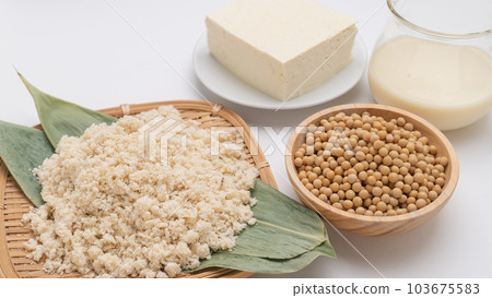 豆渣形象｜豆渣、黃豆、豆漿、豆腐 103675583