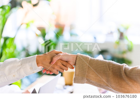 handclasp, solidarity, unity 103676180