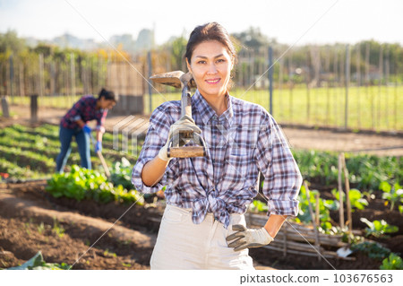 Young woman gardener holding shovel in garden against background of working people 103676563
