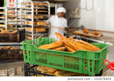 View of appetizing fresh baked bread 103676604