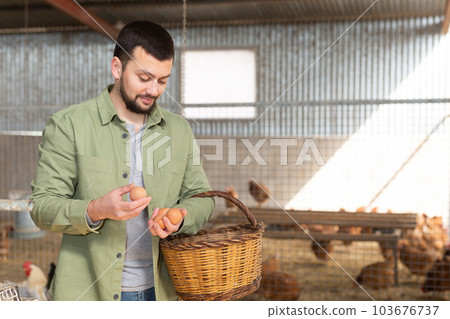 Man farmer collecting fresh eggs at henhouse Man farmer collecting fresh eggs at henhouse 103676737