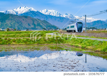以北阿爾卑斯為背景，奔跑在春田中的大糸線特急梓（Azumi Kutsukake - Shinano Tokiwa） 103676777