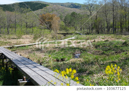 再生中的霧谷濕地風光 103677125