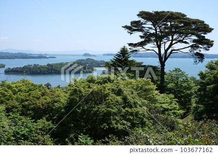 View from Matsushima Byakue Kannon Observatory 103677162