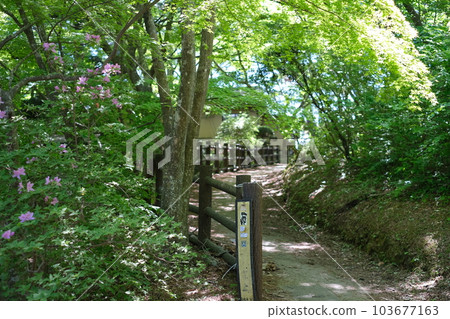 View of footpath to Sokanzan Observatory 103677163