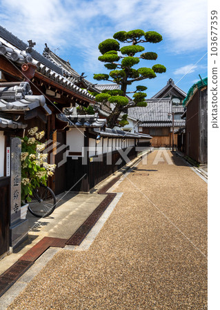 奈良縣今井町蓮明寺 奈良縣今井町蓮明寺 103677359