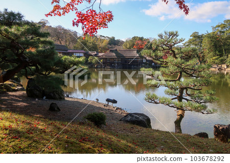 Genkyuen, a garden adjacent to Hikone Castle in Japan Genkyuen, a garden adjacent to Hikone Castle in Japan 103678292