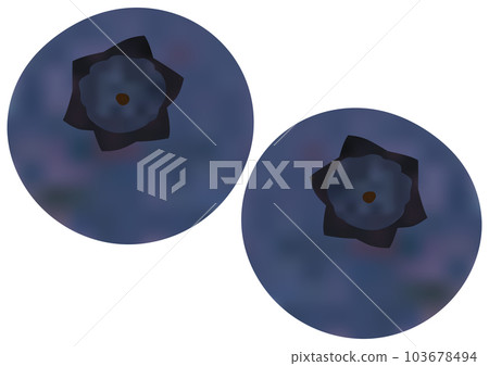 Two "blueberry fruits" 103678494