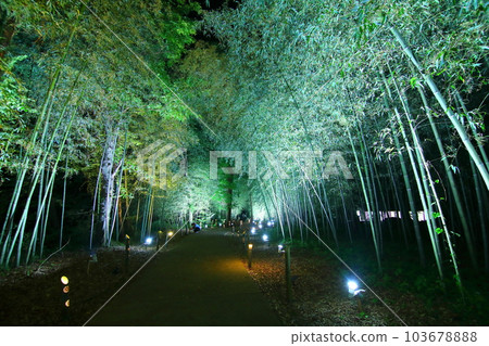 Takayama Shrine Ruins Bamboo Festival Takayama Shrine Ruins Bamboo Festival 103678888