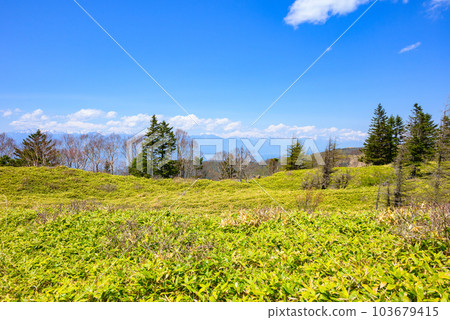Scenery from Ougatou to Ougahana [Utsukushigahara Plateau in early summer] 103679415