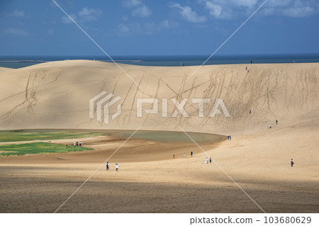 鳥取沙丘 103680629