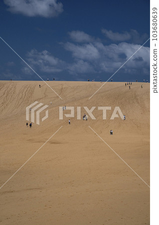 鳥取沙丘 103680639