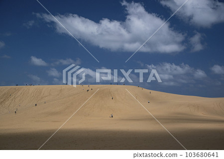 鳥取沙丘 103680641